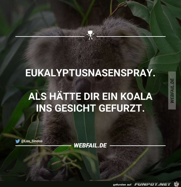 Eukalyptus-Nasenspray Eukalyptus-Nasenspray