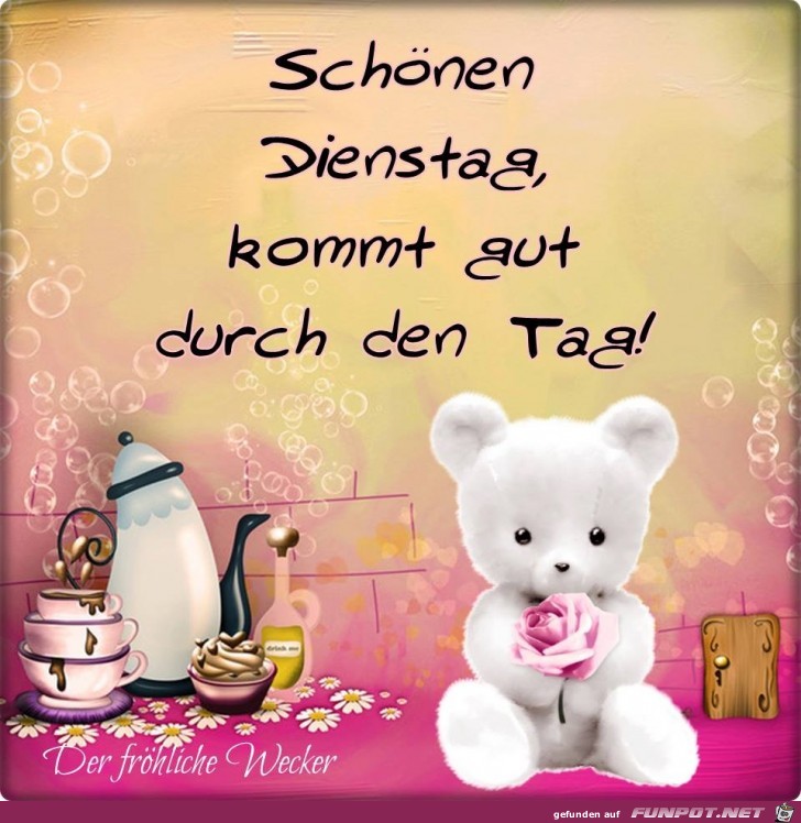 Schoenen Dienstag Schoenen Dienstag