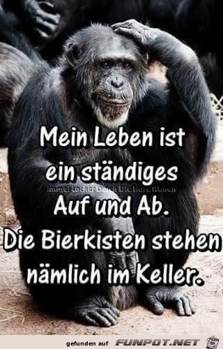 Mein Leben Mein Leben