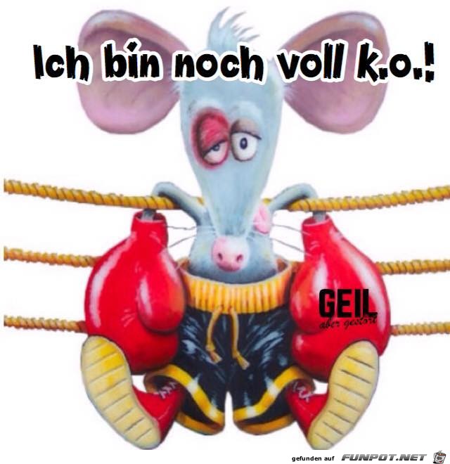 Bin k o Bin k o