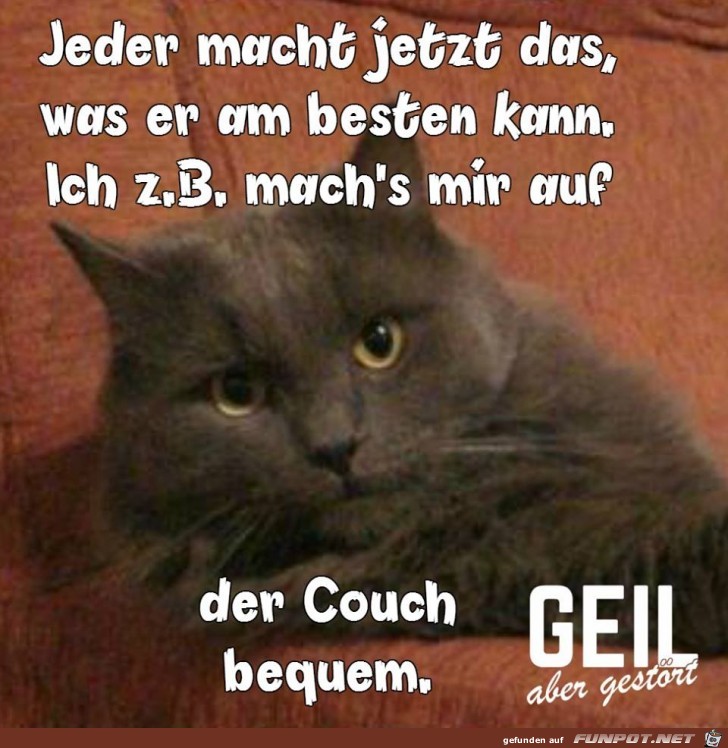 Jeder macht jetzt das Jeder macht jetzt das