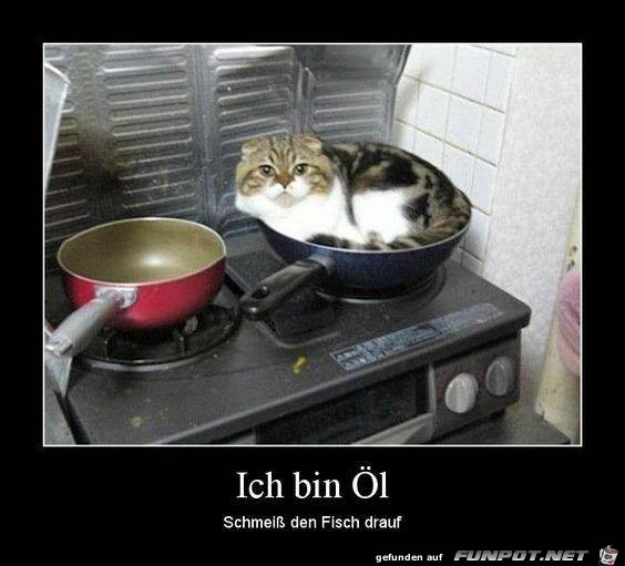Bin Oel Bin Oel