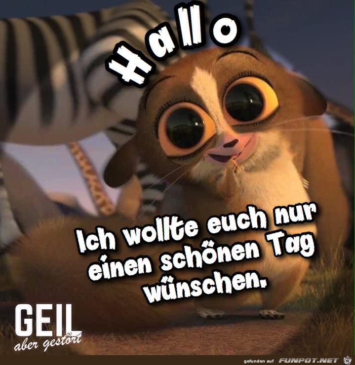 Hallo