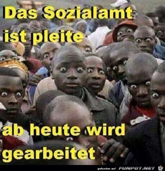 Da guckst du Da guckst du