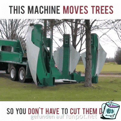 Baum-Entferner Baum-Entferner