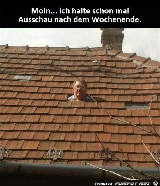 Moin.... ich halte schon mal Ausschau...... Moin.... ich halte schon mal Ausschau......