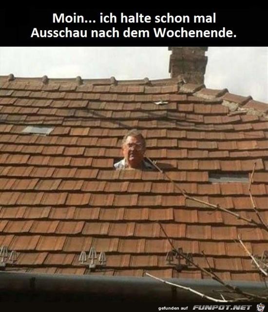 Moin.... ich halte schon mal Ausschau......