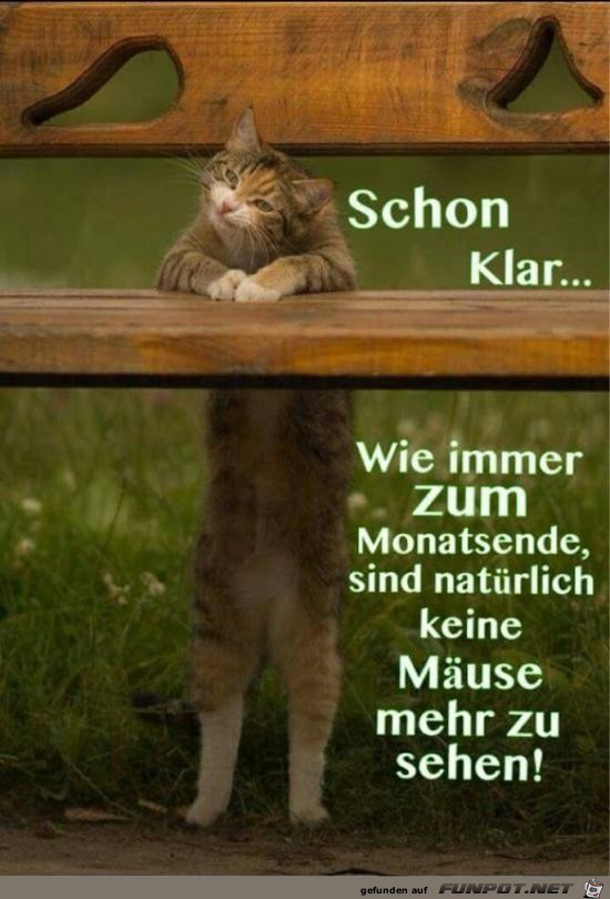 schon klar...... schon klar......