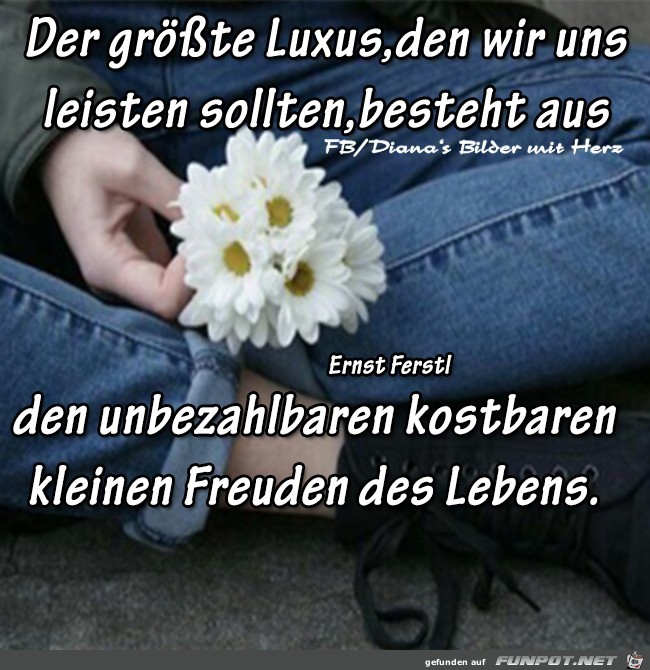 Der groesste Luxus