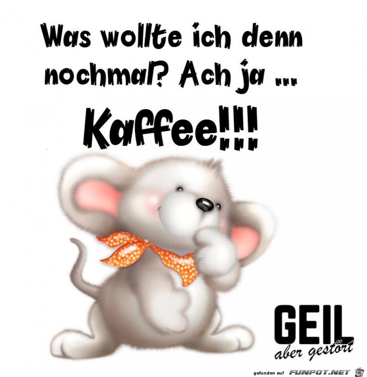 Was wollte ich den Was wollte ich den