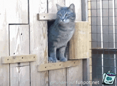 Was gibts da zu gucken? Was gibts da zu gucken?