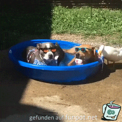 so chillt man so chillt man