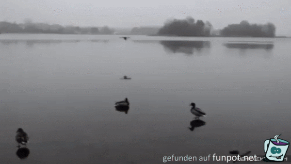 Perfekte Landung Perfekte Landung