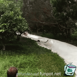 Und weg Und weg
