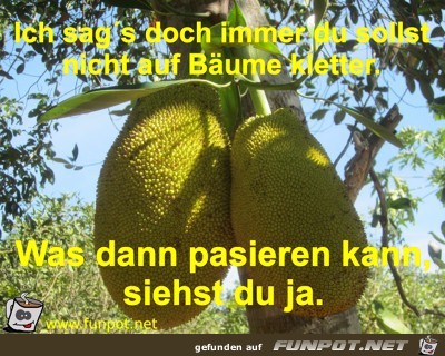 must du nicht tun must du nicht tun
