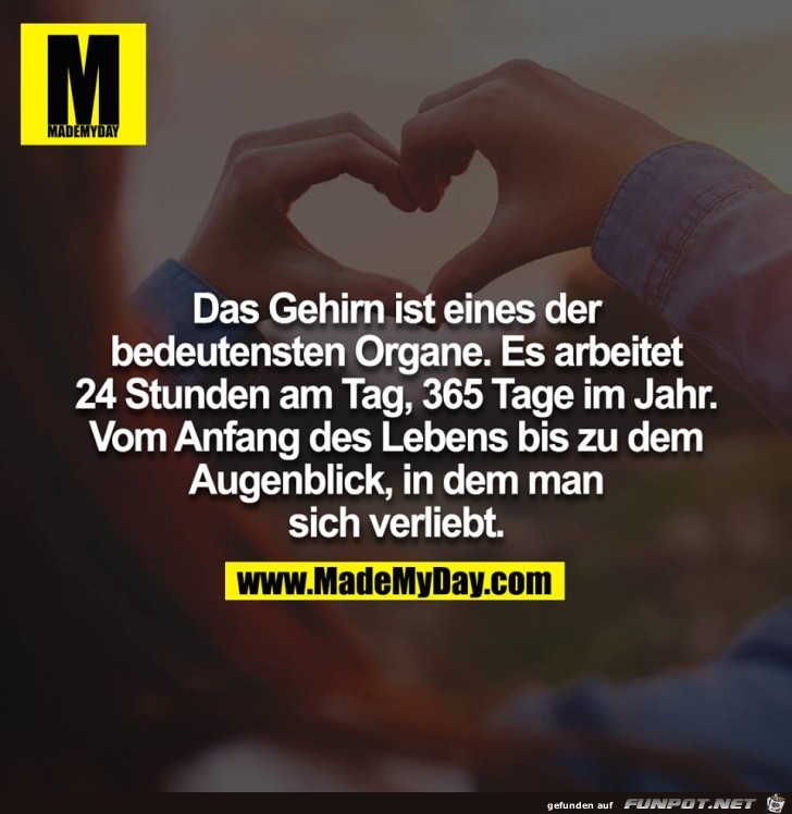 Das Gehirn Das Gehirn