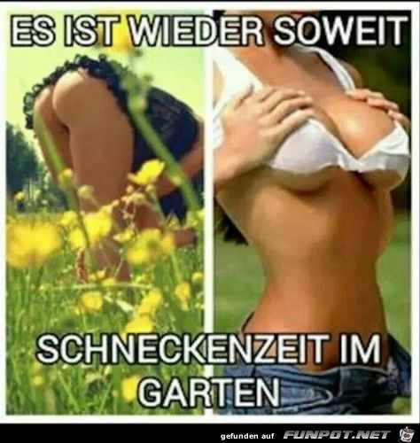 Es ist wieder soweit