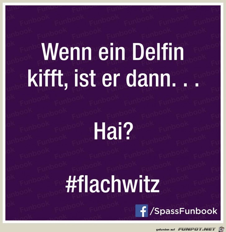 Flachwitz