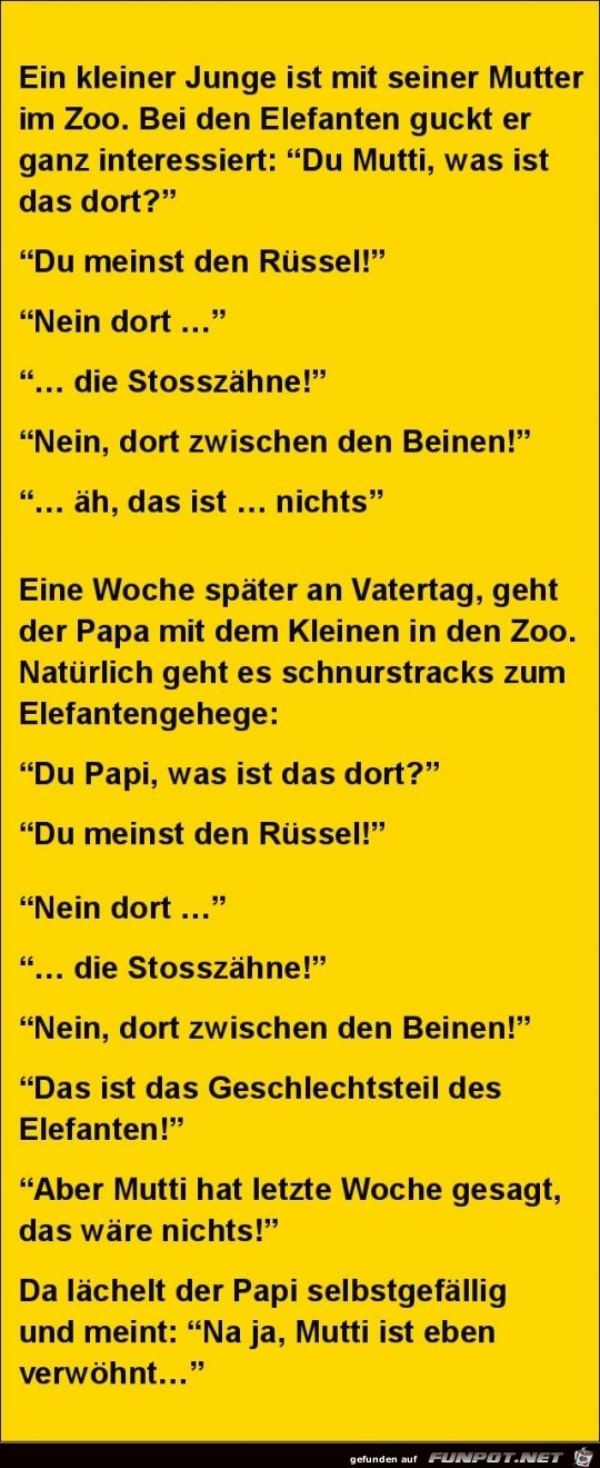 ein kleiner Junge im Zoo......