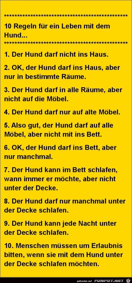 10 Regeln für ein Leben mit dem Hund:....... 10 Regeln für ein Leben mit dem Hund:.......