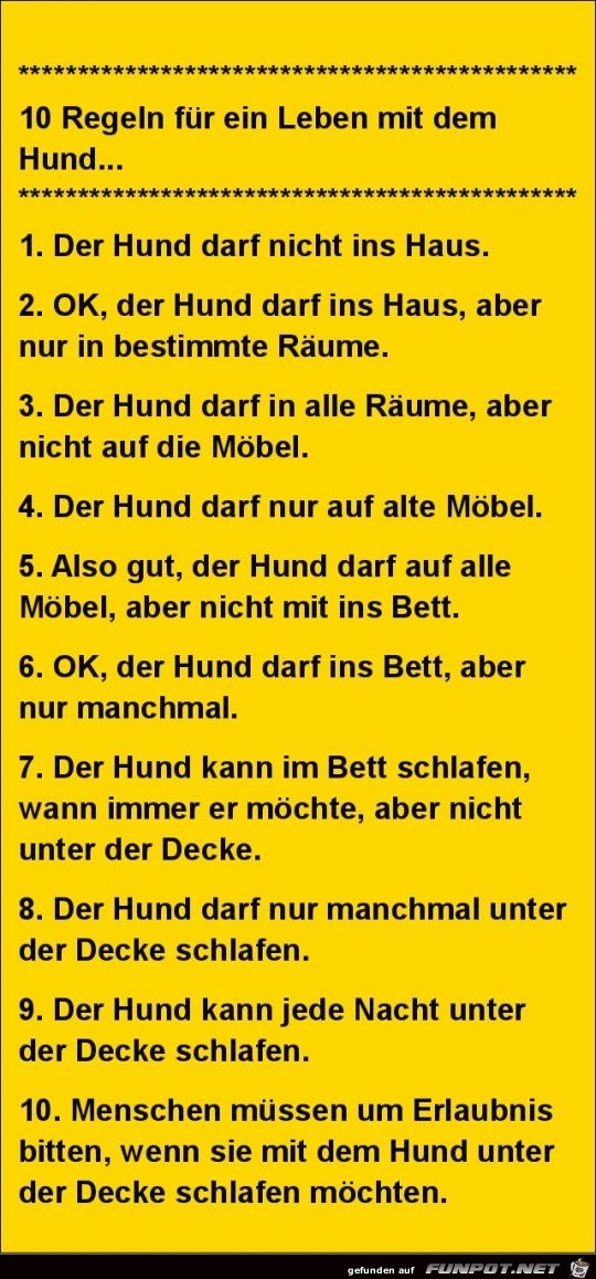 10 Regeln fr ein Leben mit dem Hund:.......