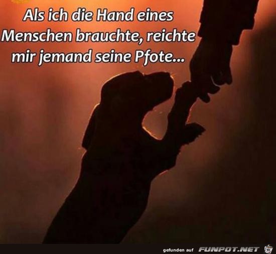 als ich die Hand eines Menschen brauchte........