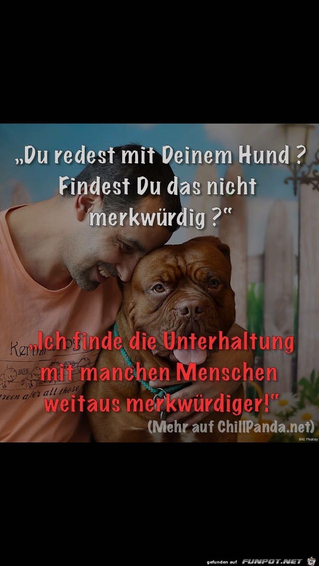 Du redest mit deinem Hund... Du redest mit deinem Hund...