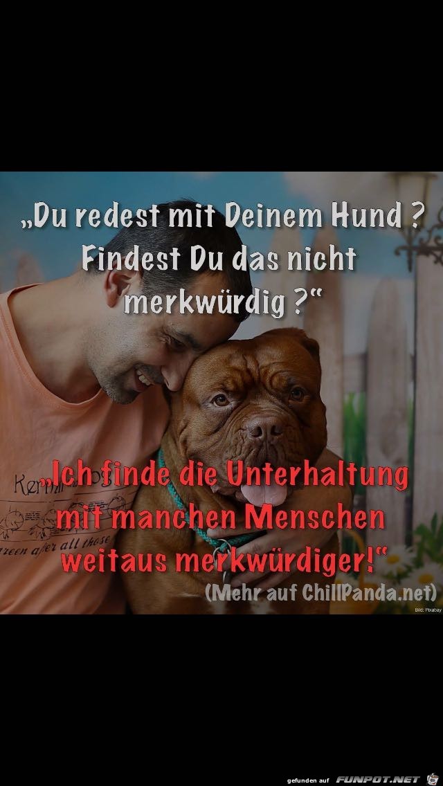 Du redest mit deinem Hund...