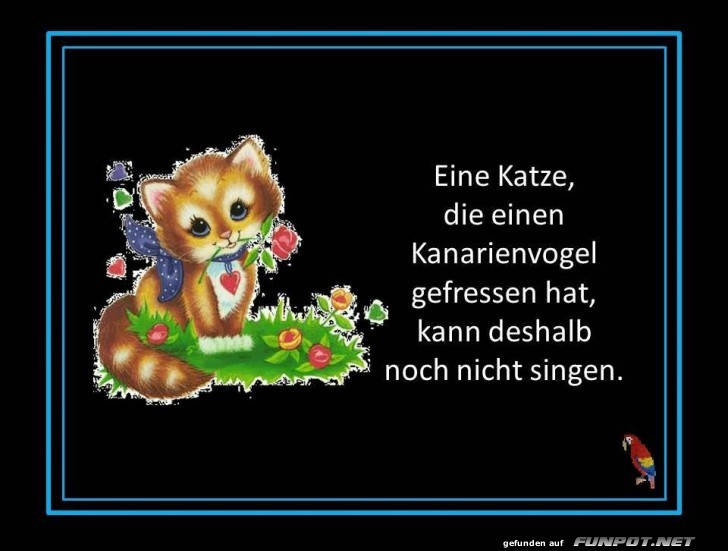 Eine Katze