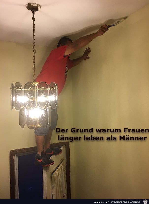 warum warum