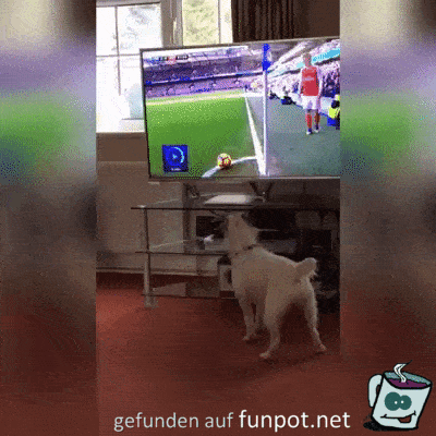 wo ist der Ball hin wo ist der Ball hin
