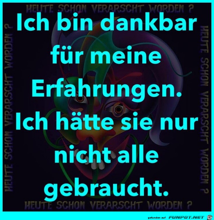 Erfahrungen Erfahrungen