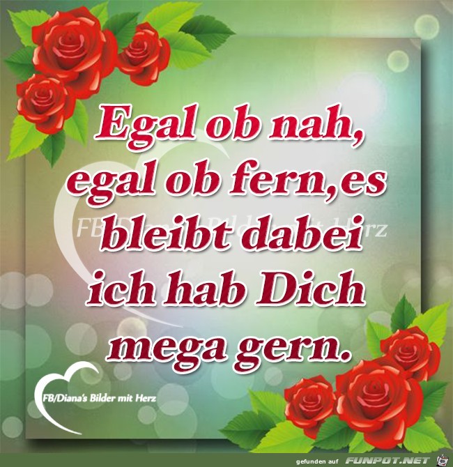 Egal ob nah