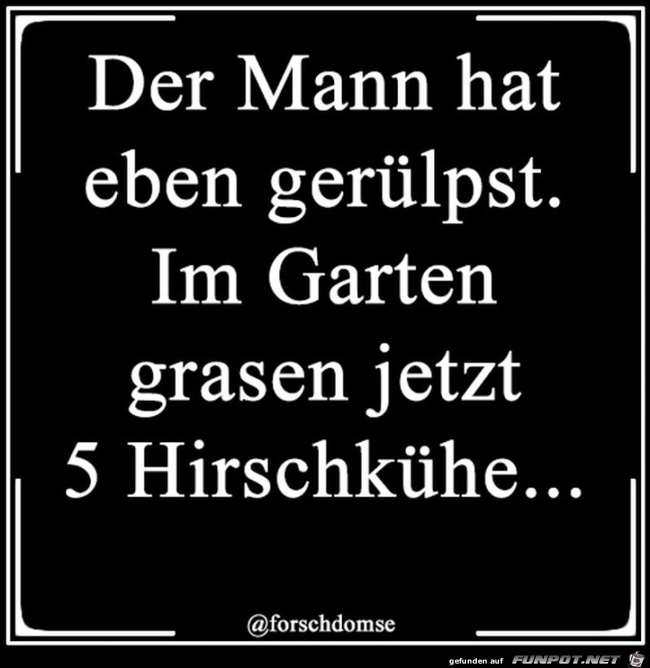 Rülpser Rülpser