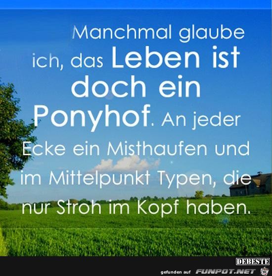 manchmal glaube ich, ......