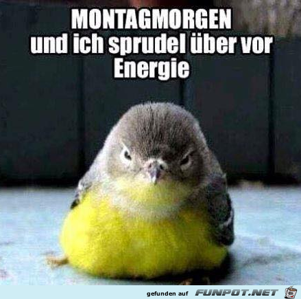 Montag Montag