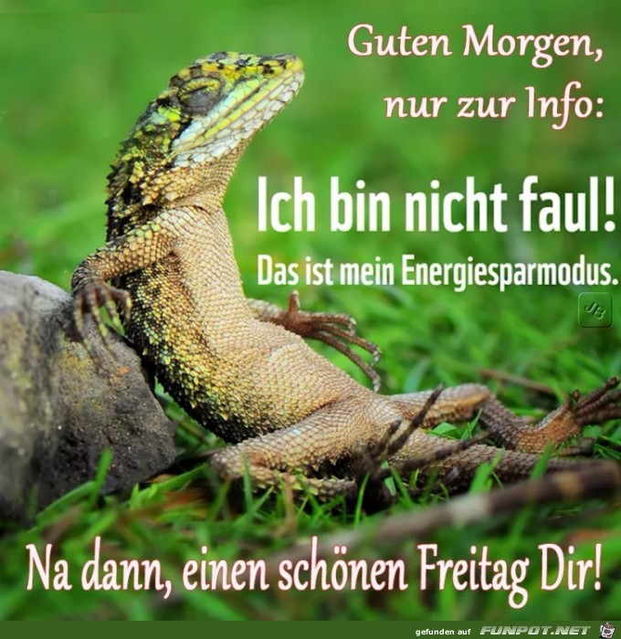 Freitag