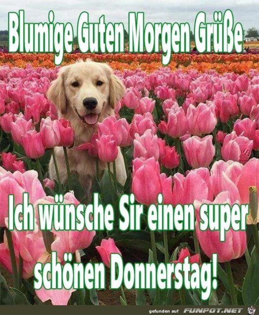 Donnerstag