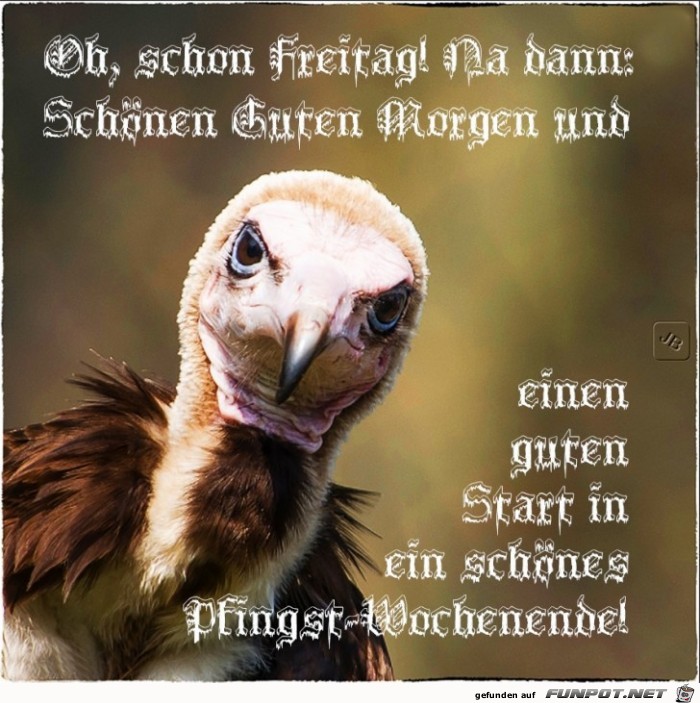 Freitag Freitag