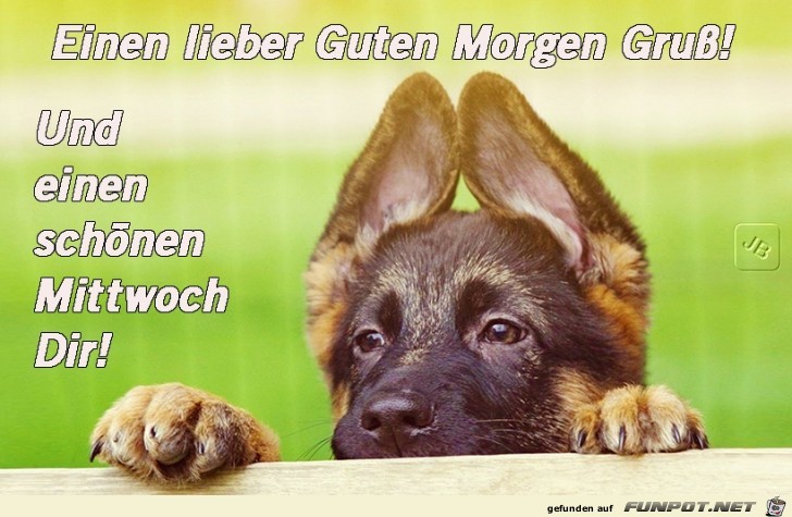 Mittwoch Mittwoch