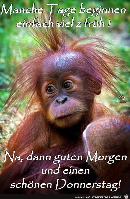 Donnerstag Donnerstag