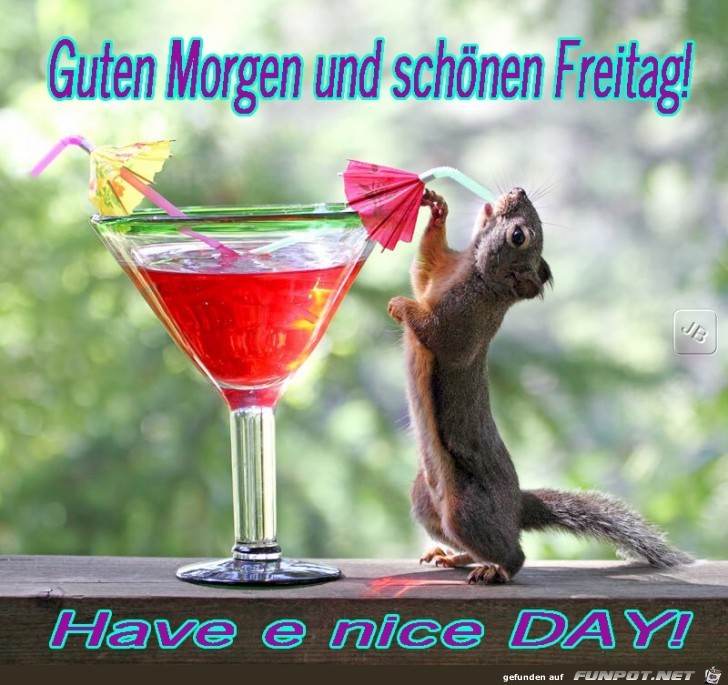 Freitag Freitag