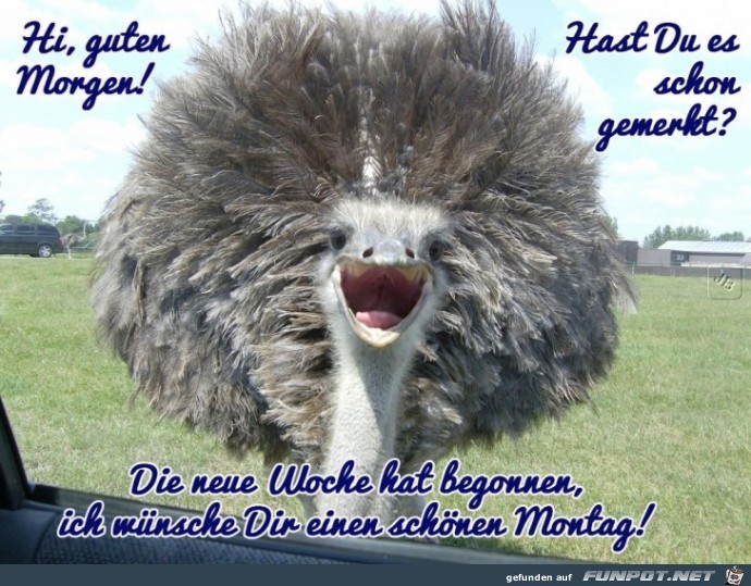 Montag