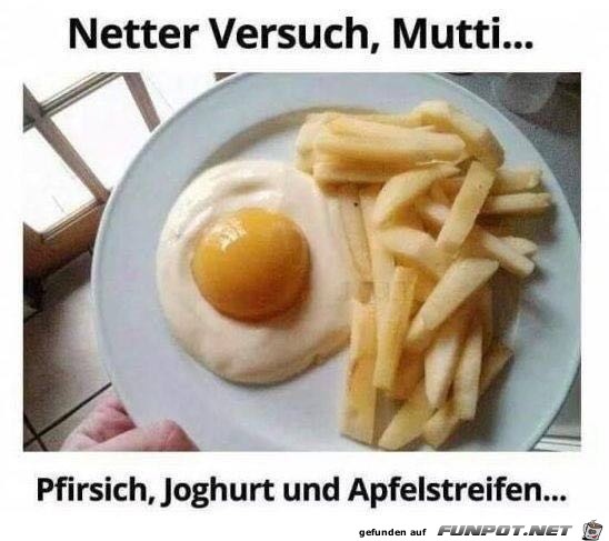Netter Versuch Netter Versuch