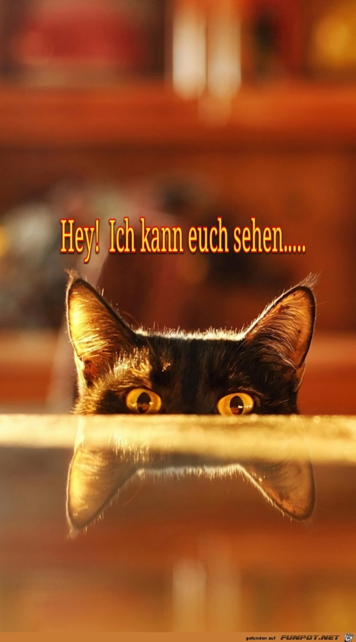 Hey! Ich kann euch sehen.... Hey! Ich kann euch sehen....