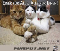 Zusammenhalt Zusammenhalt