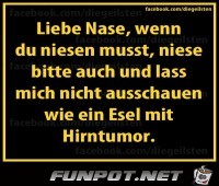 Liebe Nase Liebe Nase
