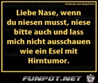 Liebe Nase