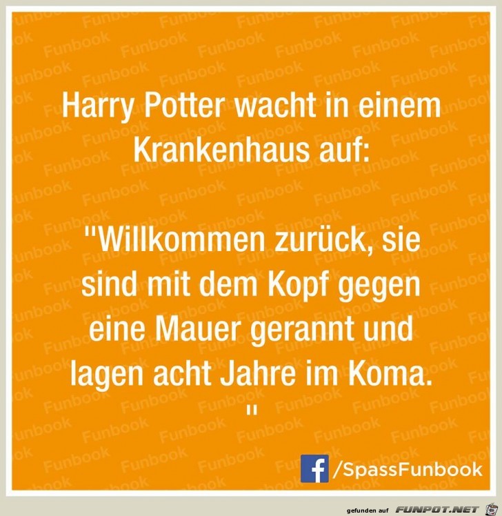 Harry Potter Harry Potter