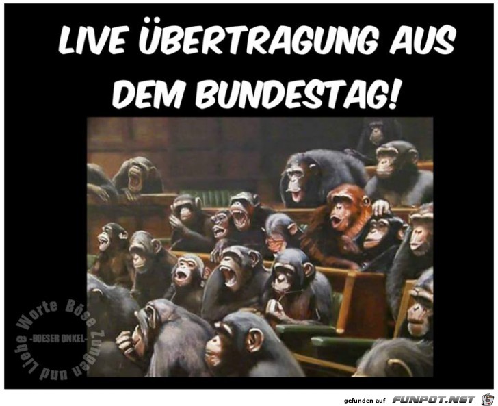 Live-Übertragung Live-Übertragung